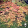 Green cascade