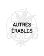 AUTRES ÉRABLES