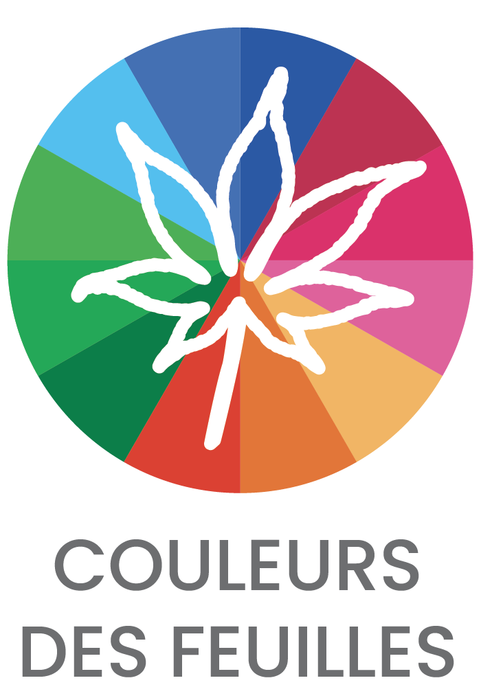 Picto COULEURS