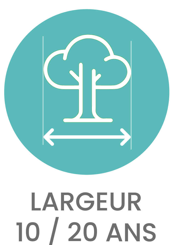 Picto LARGEUR