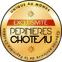 Picto Exclusivité Pepinières Choteau